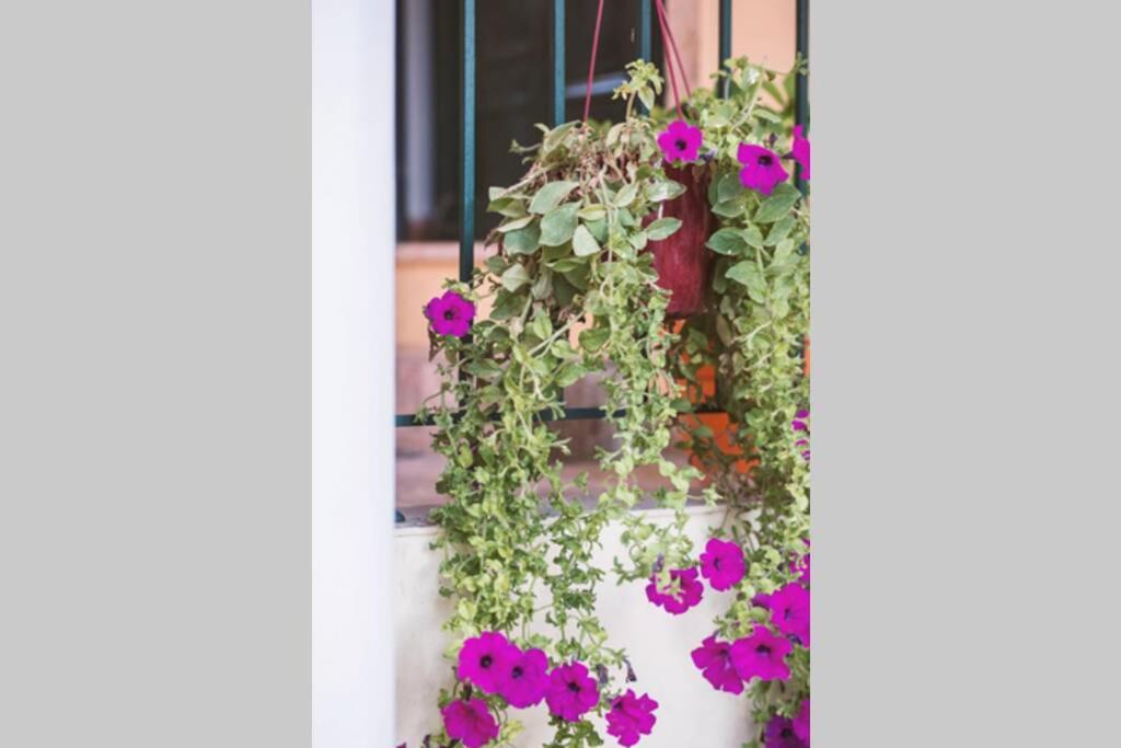 Apartamento Spiti Maria Valanio Exterior foto